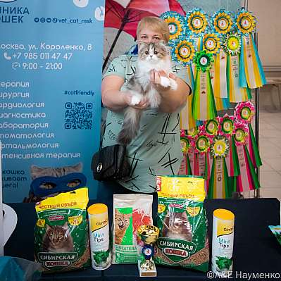 Выставка кошек 17-18.09.2022 Фотографии 3-123-0463_klk_Moskva.jpg