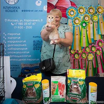 Выставка кошек 17-18.09.2022 Фотографии 4-124-0460_klk_Moskva.jpg