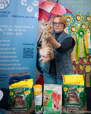 Выставка кошек 17-18.09.2022 Фотографии 9-120-0466_klk_Moskva.jpg