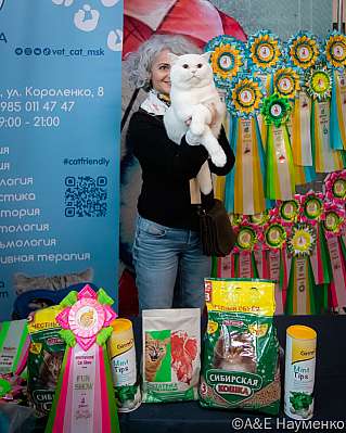 Выставка кошек 17-18.09.2022 Фотографии 4-69-0425_klk_Moskva.jpg