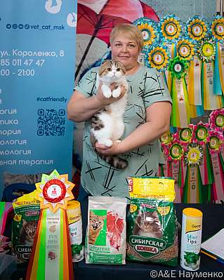 Выставка кошек 17-18.09.2022 Фотографии 8-86-0426_klk_Moskva.jpg