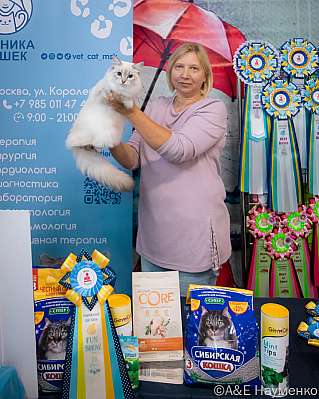 Выставка кошек 17-18.09.2022 Фотографии 10-39-0189_klk_Moskva.jpg