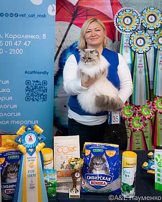 Выставка кошек 17-18.09.2022 Фотографии 3-35-0193_klk_Moskva.jpg