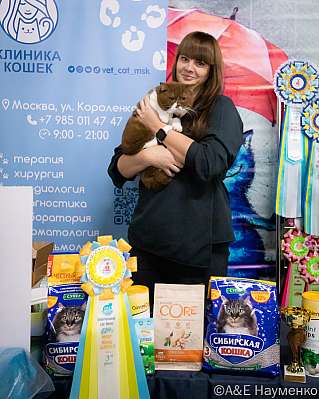 Выставка кошек 17-18.09.2022 Фотографии 3-101-0043_klk_Moskva.jpg