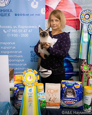 Выставка кошек 17-18.09.2022 Фотографии 9-109-0026_klk_Moskva.jpg