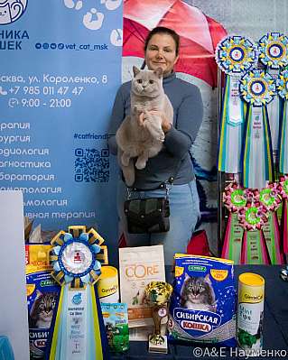 Выставка кошек 17-18.09.2022 Фотографии 1-57-0127_klk_Moskva.jpg