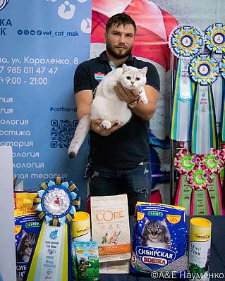 Выставка кошек 17-18.09.2022 Фотографии 9-91-0130_klk_Moskva.jpg