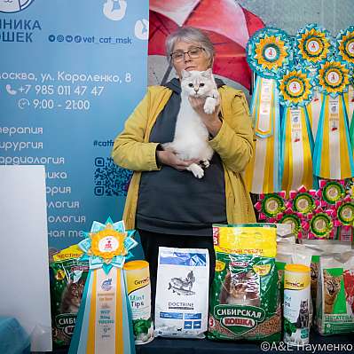 Выставка кошек 17-18.09.2022 Фотографии 9-91-0281_klk_Moskva.jpg