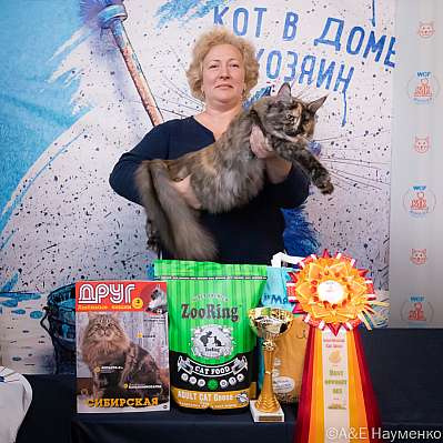 Выставка кошек 15-16.10.2022 Фотографии 10-12-0435_klk_Moskva.jpg