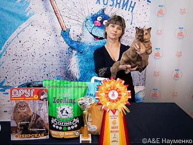Выставка кошек 15-16.10.2022 Фотографии 11-51-0429_klk_Moskva.jpg