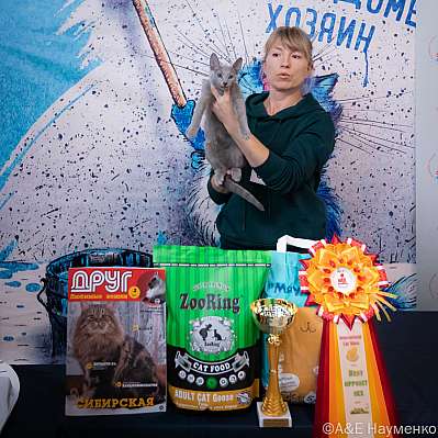 Выставка кошек 15-16.10.2022 Фотографии 13-66-0424_klk_Moskva.jpg