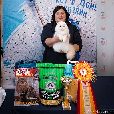 Выставка кошек 15-16.10.2022 Фотографии 14-29-0416_klk_Moskva.jpg