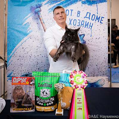 Выставка кошек 15-16.10.2022 Фотографии 15-20-0410_klk_Moskva.jpg