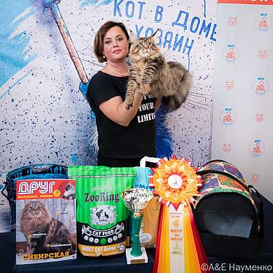 Выставка кошек 15-16.10.2022 Фотографии 2-18-0458_klk_Moskva.jpg