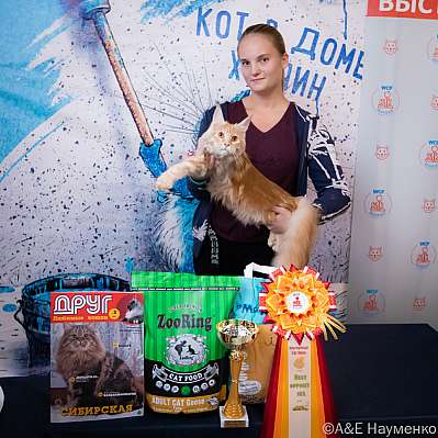 Выставка кошек 15-16.10.2022 Фотографии 5-4-0447_klk_Moskva.jpg