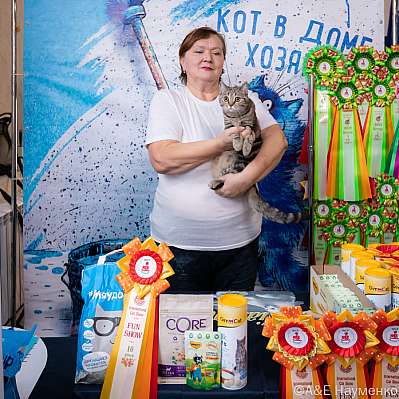 Выставка кошек 15-16.10.2022 Фотографии 10-73-0122_klk_Moskva.jpg