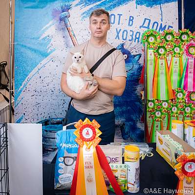 Выставка кошек 15-16.10.2022 Фотографии 5-81-0129_klk_Moskva.jpg