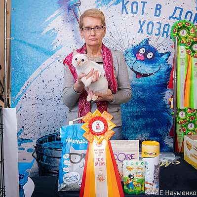 Выставка кошек 15-16.10.2022 Фотографии 7-79-0130_klk_Moskva.jpg