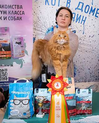 Выставка кошек 15-16.10.2022 Фотографии 1-6-0403_klk_Moskva.jpg