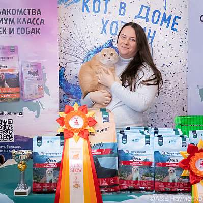 Выставка кошек 15-16.10.2022 Фотографии 3-67-0350_klk_Moskva.jpg