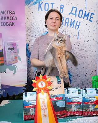 Выставка кошек 15-16.10.2022 Фотографии 5-37-0361_klk_Moskva.jpg