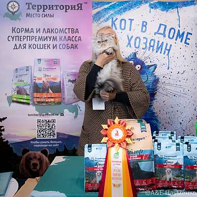 Выставка кошек 15-16.10.2022 Фотографии 8-22-0352_klk_Moskva.jpg