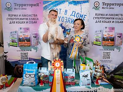 Выставка кошек 15-16.10.2022 Фотографии 1-97-0396_klk_Moskva.jpg