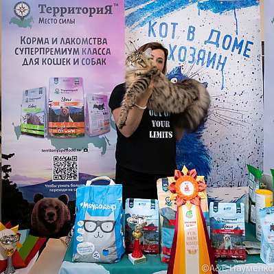 Выставка кошек 15-16.10.2022 Фотографии 2-18-0399_klk_Moskva.jpg
