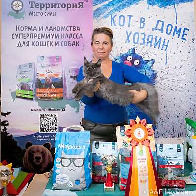Выставка кошек 15-16.10.2022 Фотографии 6-109-0401_klk_Moskva.jpg
