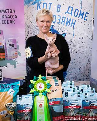 Выставка кошек 15-16.10.2022 Фотографии 3-61-0315_klk_Moskva.jpg