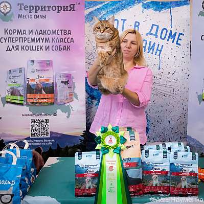 Выставка кошек 15-16.10.2022 Фотографии 5-91-0320_klk_Moskva.jpg