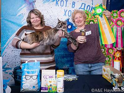 Выставка кошек 15-16.10.2022 Фотографии 1-12-0156_klk_Moskva.jpg