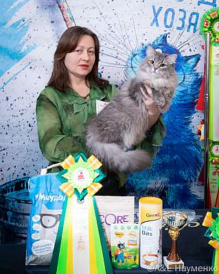 Выставка кошек 15-16.10.2022 Фотографии 2-88-0149_klk_Moskva.jpg