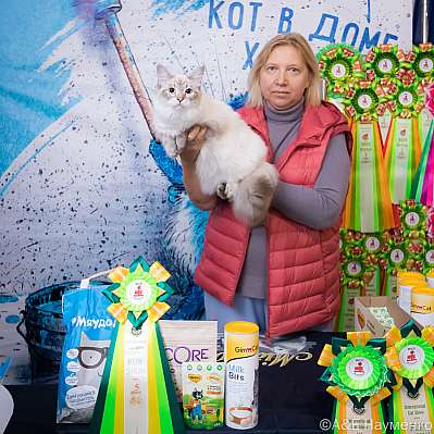 Выставка кошек 15-16.10.2022 Фотографии 5-36-0147_klk_Moskva.jpg