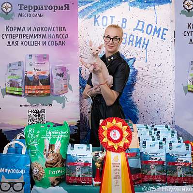 Выставка кошек 15-16.10.2022 Фотографии 1-63-0271_klk_Moskva.jpg