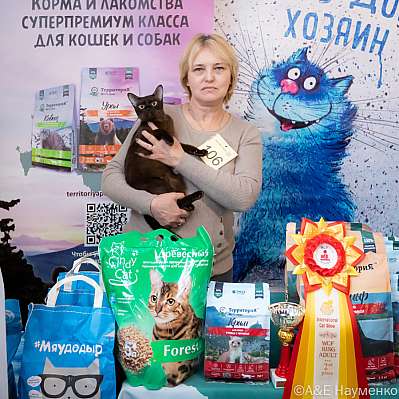 Выставка кошек 15-16.10.2022 Фотографии 2-106-0269_klk_Moskva.jpg