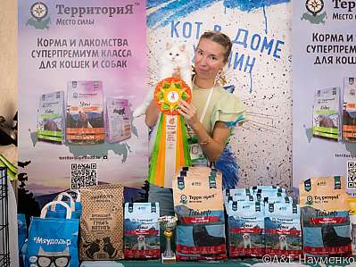 Выставка кошек 15-16.10.2022 Фотографии 1-90-0262_klk_Moskva.jpg