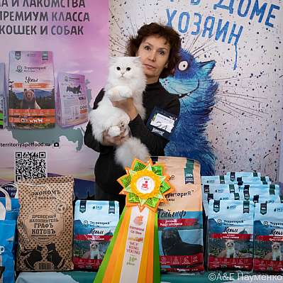 Выставка кошек 15-16.10.2022 Фотографии 10-24-0240_klk_Moskva.jpg
