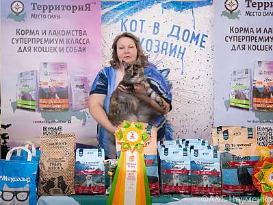 Выставка кошек 15-16.10.2022 Фотографии 2-12-0256_klk_Moskva.jpg