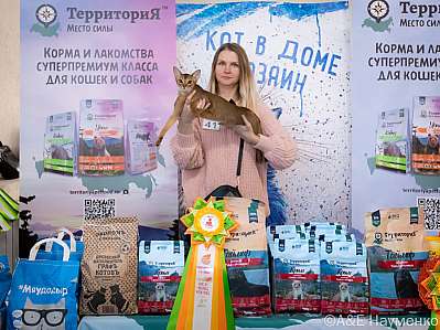 Выставка кошек 15-16.10.2022 Фотографии 6-41-0258_klk_Moskva.jpg