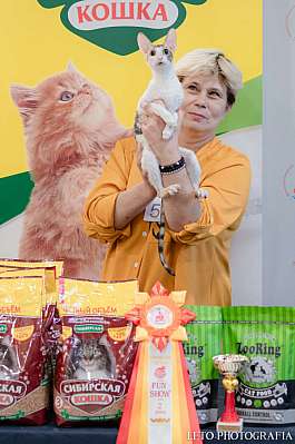 Выставка кошек 29-30.10.2022 Фотографии 2-54-149.jpg