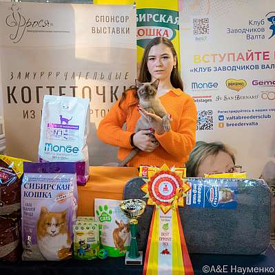 Выставка кошек 18-19.03.2023 Фотографии 10-56-0242_Moskva.jpg