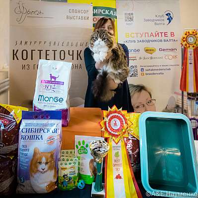 Выставка кошек 18-19.03.2023 Фотографии 4-10-0265_Moskva.jpg