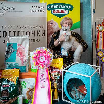 Выставка кошек 18-19.03.2023 Фотографии 1-25-0451_Moskva.jpg