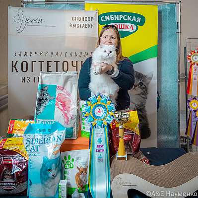 Выставка кошек 18-19.03.2023 Фотографии 12-3-0436_Moskva.jpg