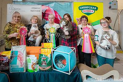 Выставка кошек 18-19.03.2023 Фотографии 16-0452_Moskva.jpg