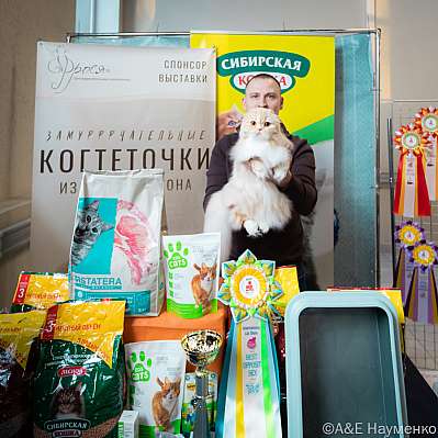 Выставка кошек 18-19.03.2023 Фотографии 4-9-0443_Moskva.jpg