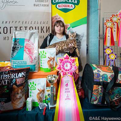 Выставка кошек 18-19.03.2023 Фотографии 7-46-0442_Moskva.jpg