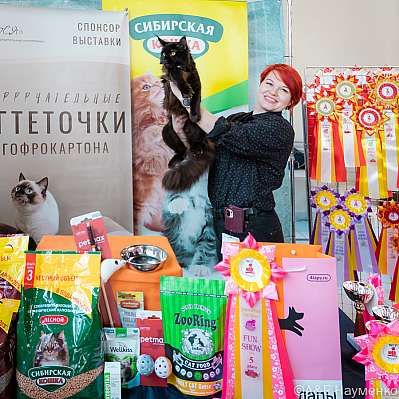 Выставка кошек 18-19.03.2023 Фотографии 5-17-0373_Moskva.jpg