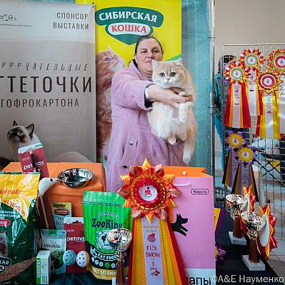 Выставка кошек 18-19.03.2023 Фотографии 1-51-0415_Moskva.jpg